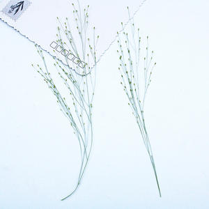 Hojas de Hierba de Fuente Secas y Prensadas, Follaje Natural Ornamental para Manualidades con Resina y Decoración - Product Image 4