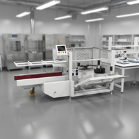 Machine de formage de boîtes robotisée KXL-650 entièrement automatique à PLC, pour la fin de ligne, 5-25 cartons/min, gamme de taille industrielle 650 mm, haute rigidité