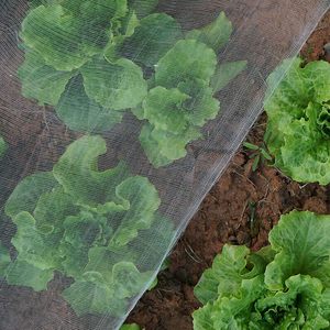 Trinh Nữ HDPE + UV nhựa côn trùng lưới nhà kính chống côn trùng lưới nông nghiệp vườn Net kháng sâu bệnh - Product Image 3