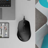 Souris de bureau rechargeable, touches de raccourci latérales, silencieuse et confortable, produit modèle personnalisé