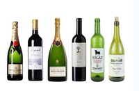 Nouvelle version personnalisable en acier inoxydable, Double paroi 750ml, porte-bouteille de Champagne unique, seau de refroidissement
