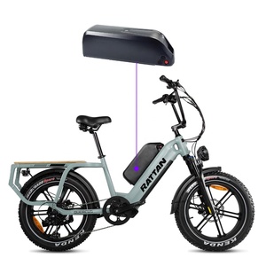Amyet G60 S8 Paquete de batería de iones de litio extraíble 48V 52V 20Ah 960Wh 1040Wh para 500W 750W <span class=keywords><strong>Quercus</strong></span> Sequoia Pinus Step-through Ebike - Product Image 6