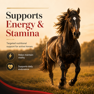 Suplemento Líquido para Células Rojas Equinas OEM, 1 Galón - Refuerzo de Hierro, Vitaminas y Minerales para la Resistencia y Defensa Inmunológica del Caballo - Product Image 2