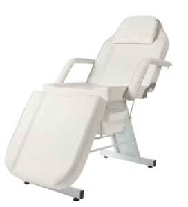 Cama Plegable de Metal para Masajes, Fisioterapia, Tatuajes y Bordados, para <span class=keywords><strong>Medicina</strong></span> Tradicional China, Cuidado de la Salud y Belleza - Product Image 3