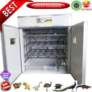 96 150 Lồng Ấp Trứng Đà Điểu Màu Mỡ Tươi Để Bán - Product Image 3