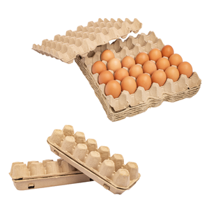 Bandeja de huevos de pollo Buena calidad Célula personalizada Servicio personalizado Certificación Tuv Embalaje personalizado del fabricante de Vietnam - Product Image 4