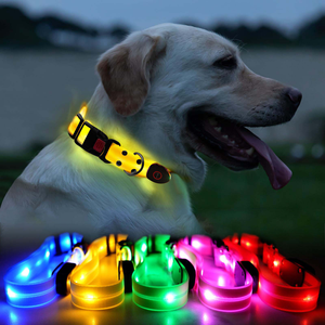 Noche brillante lujo USB recargable LED autoiluminante mascota gato perro Collar suave acolchado Nylon moderno clásico personalizado - Product Image 2