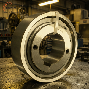 SUMA FXN31-17/60 Backstop Clutch One Way Sprag <b>Bearing</b> for Pumps FXN Series - Product Image 4