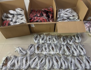 Chaussures <span class=keywords><strong>de</strong></span> <span class=keywords><strong>danse</strong></span> <span class=keywords><strong>latine</strong></span> rouge à paillettes pour femmes, pantoufles Dorothy Ruby, Costume d'halloween, talon <span class=keywords><strong>de</strong></span> 5.5cm, chaussures <span class=keywords><strong>de</strong></span> <span class=keywords><strong>danse</strong></span> moderne - Product Image 5