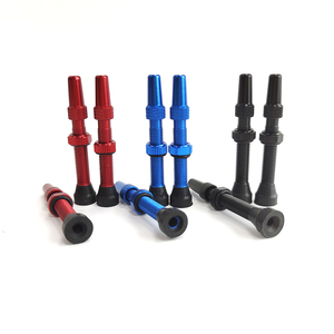 <span class=keywords><strong>Valves</strong></span> Presta en laiton pour pneus <span class=keywords><strong>de</strong></span> vélo sans chambre à air - Product Image 3