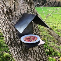 Mangeoire à oiseaux JH-Mech, minimaliste, amovible, à fixer au mur et à l'arbre, de qualité supérieure, en acier carbone noir, pour l'extérieur