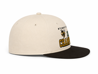 Casquette de baseball vintage personnalisée avec logo, en coton, broderie 3D en relief, visière plate, snapback unisexe, style hip-hop, sportive, motif léopard, pour les sports de plein air