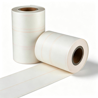 NMN Flexibles Isolierpapier für Elektromotorwicklung und Schlitzisolierung Polyesterfolie Aramidpapier NMN Verbundmaterial