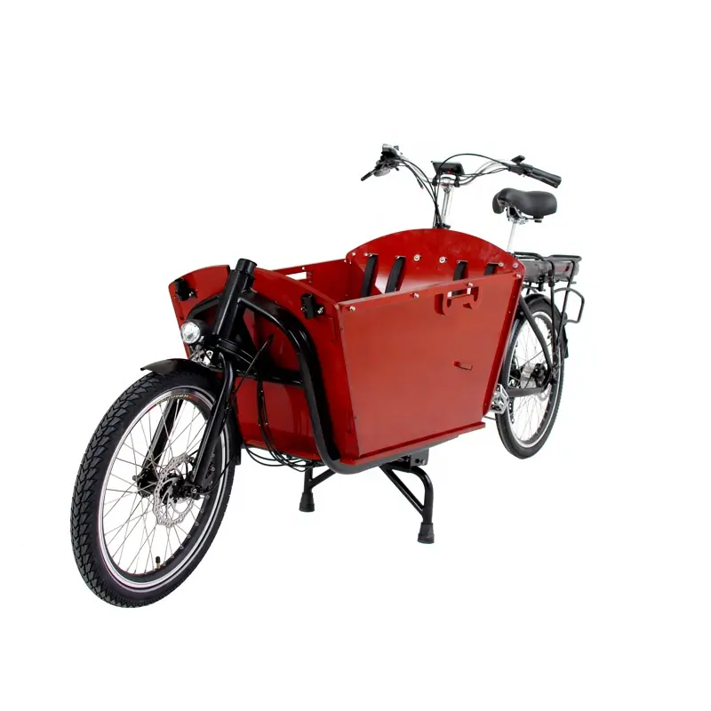Lectric-Bicicleta de carga de 2 ruedas, larga, John Transport bike para entrega en última milla