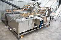 Industriële fruit- en ananasborstel- en wasmachine met lager & motor 380V/220V