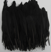 Plumes d'oie naturelles lavées blanches de 6 à 8 pouces pour volants de badminton, ailes d'ange, chapeaux, coiffes, costumes, spectacles et fêtes