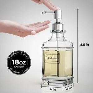 550ml 2022 botanique yıkama bulaşık şampuan cam şişe paslanmaz çelik pompa jeli vücut peeling vücut fırçalayın kokulu