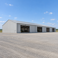 Structure en acier durable pour entrepôt agricole, montage facile, faible entretien, résistance à la corrosion, atelier métallique, hangar de stockage