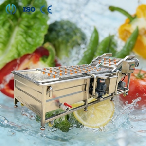 Laveuse de légumes haute pression 500 kg/h pour légumes <span class=keywords><strong>à</strong></span> feuilles, gingembre et tomates, avec ozone - Product Image 1