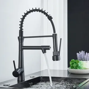 Siyah gurme mutfak musluk uzatılabilir bahar aşağı çekin püskürtücü mutfak için evye musluğu musluk pirinç bakır siyah