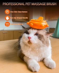 Factory Wholesale <b>Pet</b> Water Spray Brush Soft Dog Hair Steamy Comb Cat Steam Brush for Cat Massage <b>Bathing</b> and <b>Cleaning</b> - Product Image 5