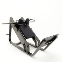 Équipement de gymnastique Exercice Hack Squat/Leg Press 2 en 1 Musculation Calf Raise Compact 45 Degree Leg Press Machine Hack Slide
