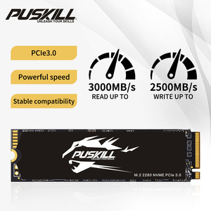 Puskill ประสิทธิภาพสูงขายดีจากโรงงาน OEM บริการ ODM NVMe M.2 2280 PCIE3.0 SSD 1TB สำหรับพีซีและแล็ปท็อปการเร่งเกม