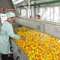 Professionele Leverancier Volledig Geautomatiseerde Industriële Appelsap Perslijn, Appelsap Extractiemachine