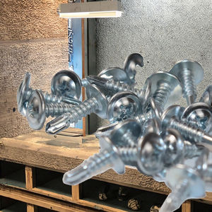 Tornillo para paneles de yeso personalizado de acero inoxidable con cabeza Torx tipo truss, para madera, con cámara oculta, recubierto de nailon, autoperforante y de rosca fina. - Product Image 3