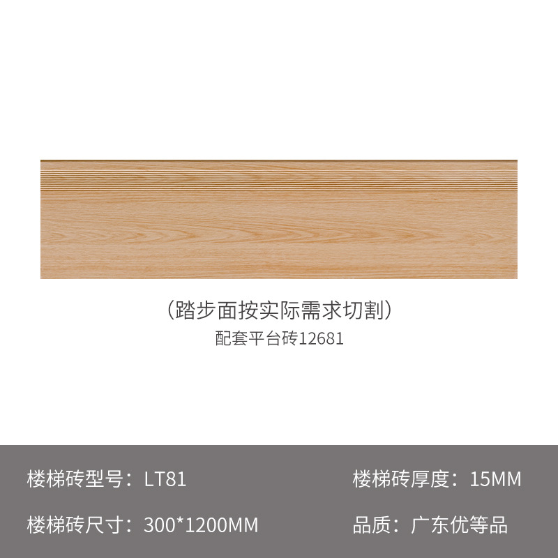 Lt81 - 300x1200