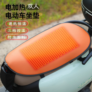 Housse d'hiver résistante à l'eau pour scooter électrique à double siège avec chauffage électrique - Product Image 1