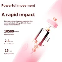 Vrouwelijke G-spot vibrator wand, USB-aangedreven vaginale vibrator, onder 60dB stil, inbrengbaar, volwassenenplezier speeltje, gemaakt in Zhejiang