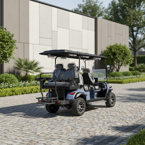 Voiturette de golf électrique monoplace en métal avec personnalisation arc-en-ciel, moteur AC 7,5 kW, 6 places, batterie lithium 72 V, homologuée CEE GCC <span class=keywords><strong>pour</strong></span> <span class=keywords><strong>les</strong></span> terrains de golf - Product Image 2