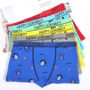 Hot Sale Breathable Cotton Spandex Teen Boys Underwear with Factory Price -  China Underwear and Boxers price