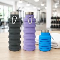 Bouteille d'eau pliable en silicone écologique avec mousqueton 500 ml – Gourde portable à boire directement pour l'escalade en extérieur