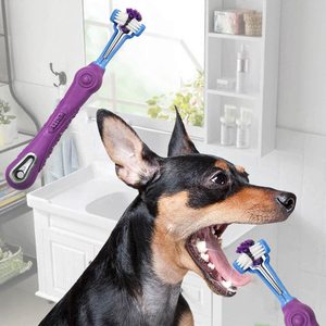 Toptan köpekler için üçlü kafa plastik Pet diş fırçası diş temizleme aracı - Product Image 4