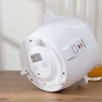 Vente chaude 1L/4L 304 En Acier Inoxydable Pot Intérieur Électrique Multifonction Cuiseur À Riz avec Cuiseur Vapeur pour Usage Domestique ou Cuisine