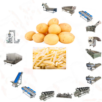 Volledig automatische productielijn voor diepvriesfrieten en groente-/fruitfriet, grote capaciteit aardappelchipsmachinegroep