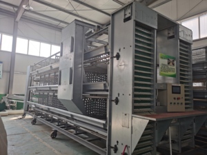 Tự Động H Loại Động Vật Gia Cầm Trứng Lớp Nhà Chăn Nuôi Gà Thịt Cho Ăn Nuôi Thiết Bị Dòng Gà Trang Trại Pin Lồng Hệ Thống - Product Image 3