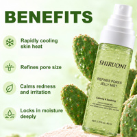 Brume Visage Hydratante au Cactus et Niacinamide, Marque Privée OEM, Affine les Pores