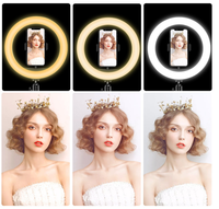 Lampu Ring LED 5V daya tinggi, lampu pencahayaan fotografi Video ponsel pintar, lampu LED kecantikan profesional, dapat diisi ulang daya tinggi 8IN/10in/13In