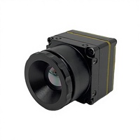 Module de caméra thermique infrarouge non refroidi LWIR mini CVBS haute résolution OEM 384px 17,3*17,3mm fabriqué en Chine