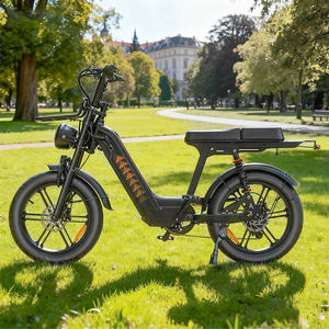 Vélo électrique hybride adulte QMWHEEL D50 250W 48V 18.2AH 20 pouces avec pneus larges, double suspension, autonomie de 50 km pour les trajets urbains et les courts trajets - Product Image 1