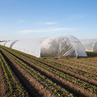 Couverture de serre écologique en tissu non tissé respirant à mémoire de forme, 100 % polypropylène de haute qualité, pour l'agriculture
