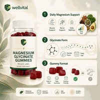 Gummies de glycinate de magnésium halal avec Ashwagandha, personnalisables avec logo, prêts à être expédiés directement de l'usine