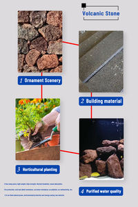 Piedra natural para plantas, piedra de grano carnoso, horticultura - Product Image 4