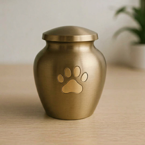 Brass Pet Cremation <b>Urn</b> with Paw Print Design for Dog or <b>Cat</b> Ashes Storage - Product Image 1