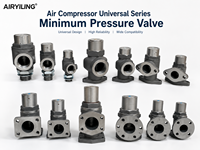 Válvula de Presión Mínima de Alta Calidad Red Star MPV-25 MPV-50FMPV-65 MPV-80 Compatible con Compresores de Tornillo Universales