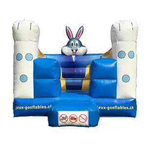 Party Jumpers Bouncers Led Adult Outdoor Inflated Inflatable Looney Tunes Bounce House