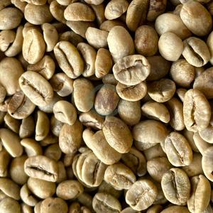 Granos de café verde orgánico Arábica Robusta de alta calidad de Vietnam 100 por ciento puro para tostar y beber - Product Image 4